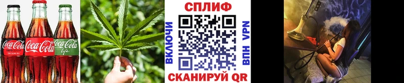 Canna-Cookies конопля  Почеп 
