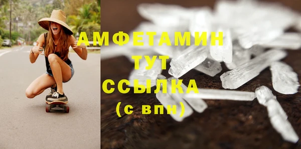 дживик Абаза