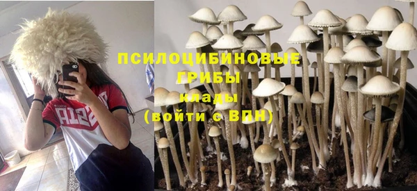 дживик Абаза