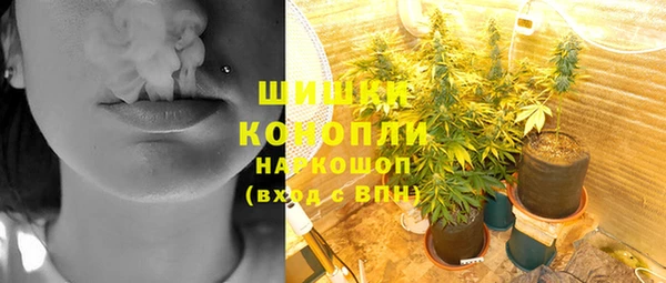ПСИЛОЦИБИНОВЫЕ ГРИБЫ Абинск