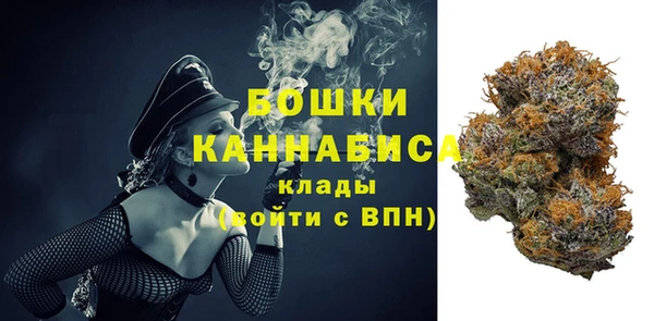 дживик Абаза