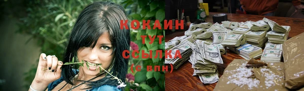 дживик Абаза