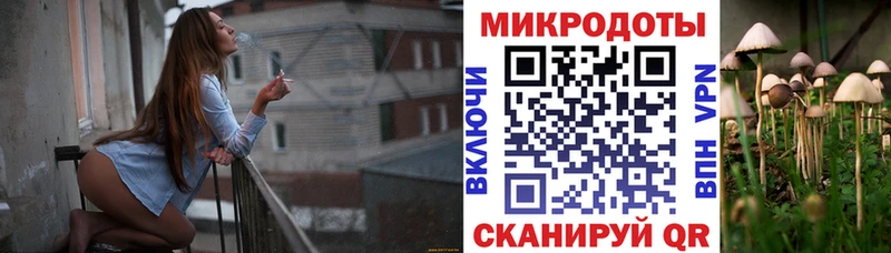 Псилоцибиновые грибы Psilocybine cubensis  kraken tor  Почеп 